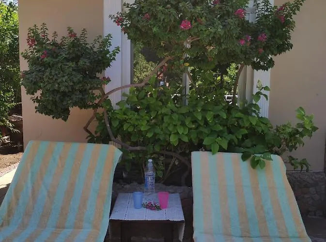 Rayan Villa